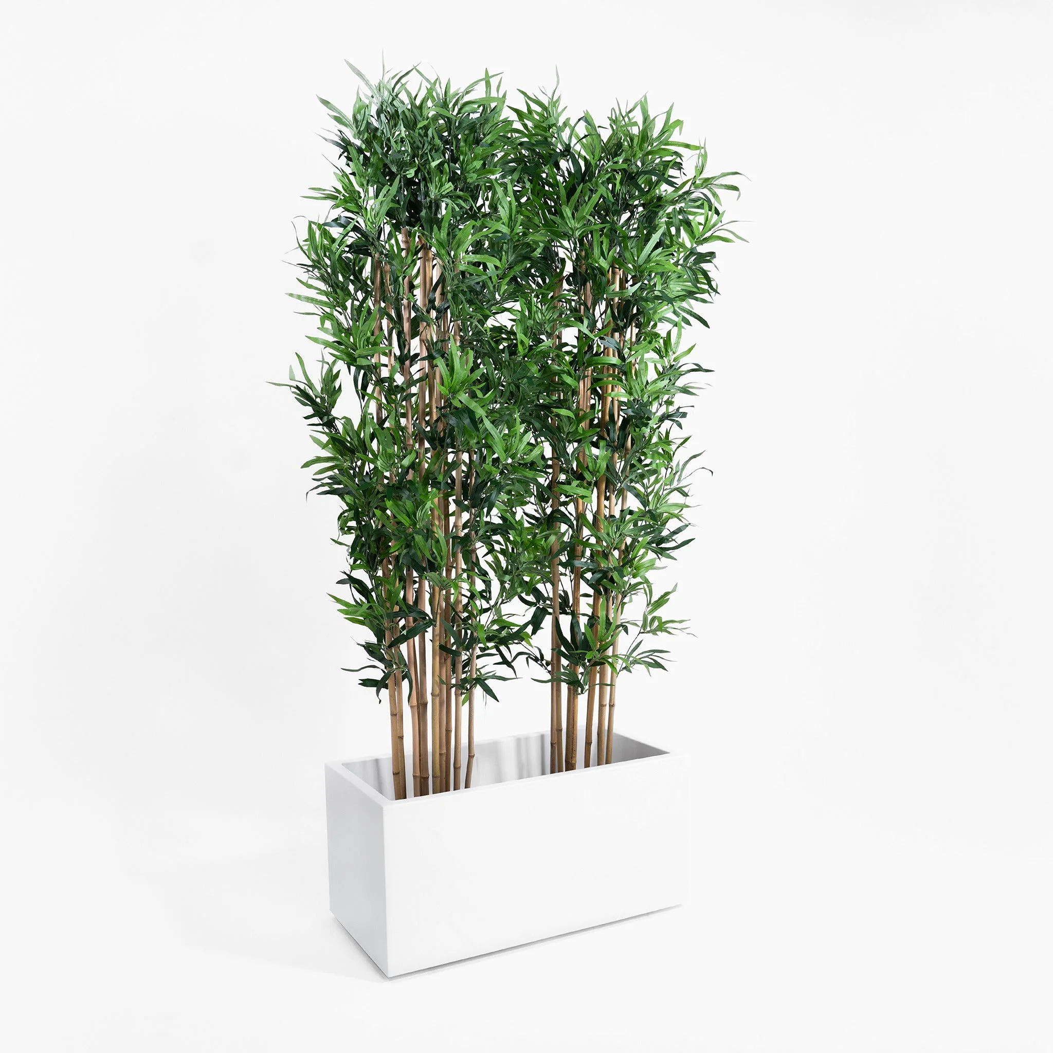Oriental bamboo screening - Image 9