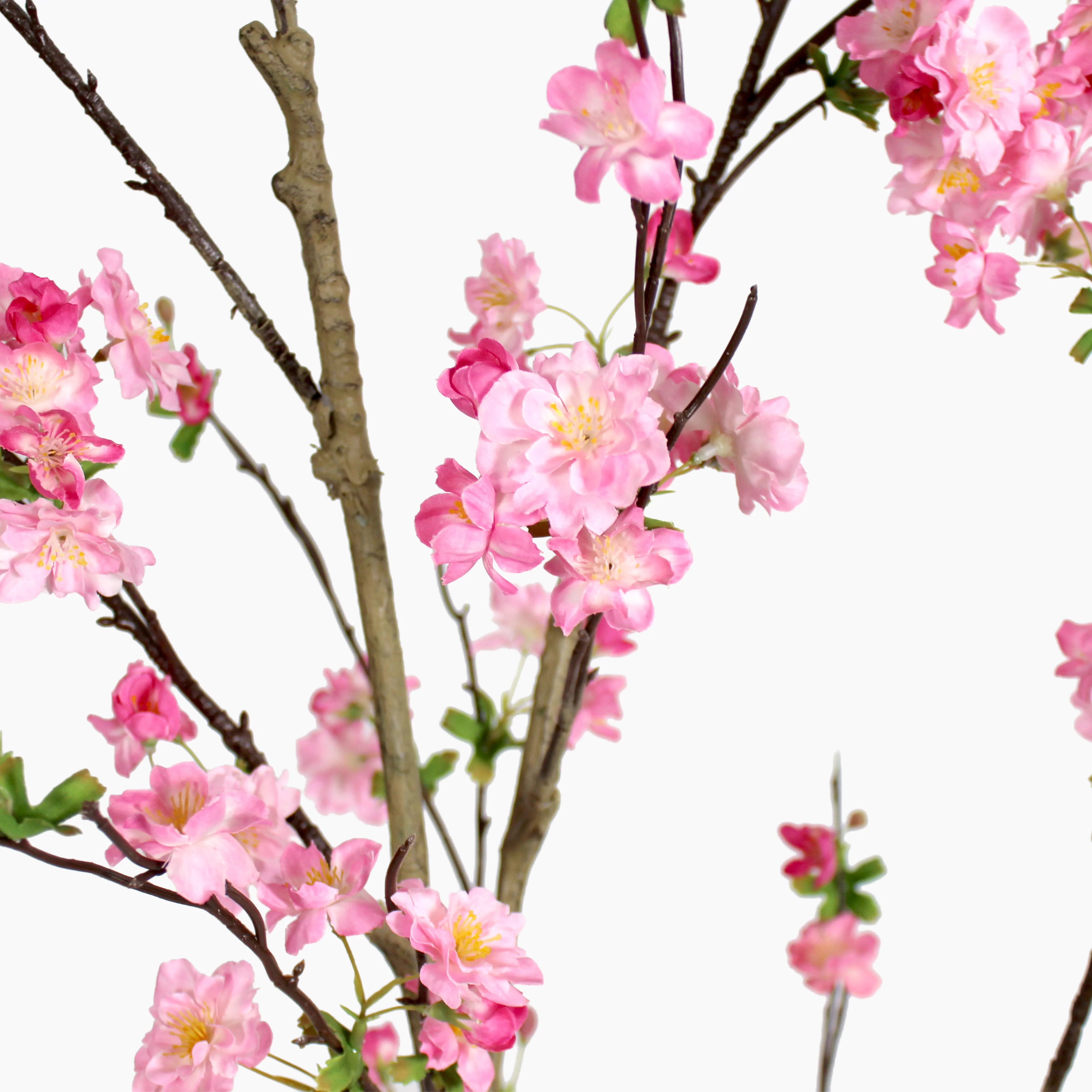 Blossom tree - Image 5