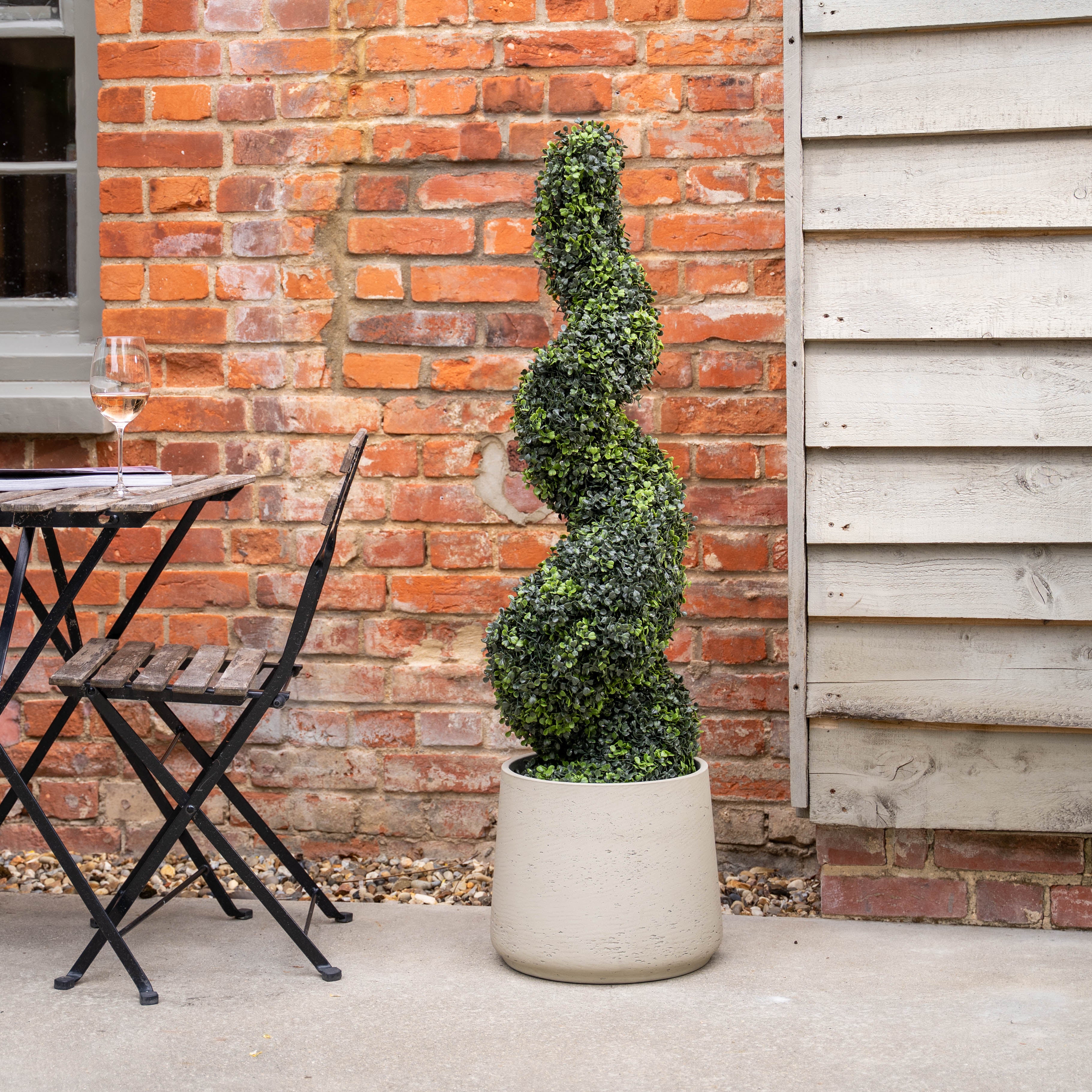 Boxwood spiral - Image 3