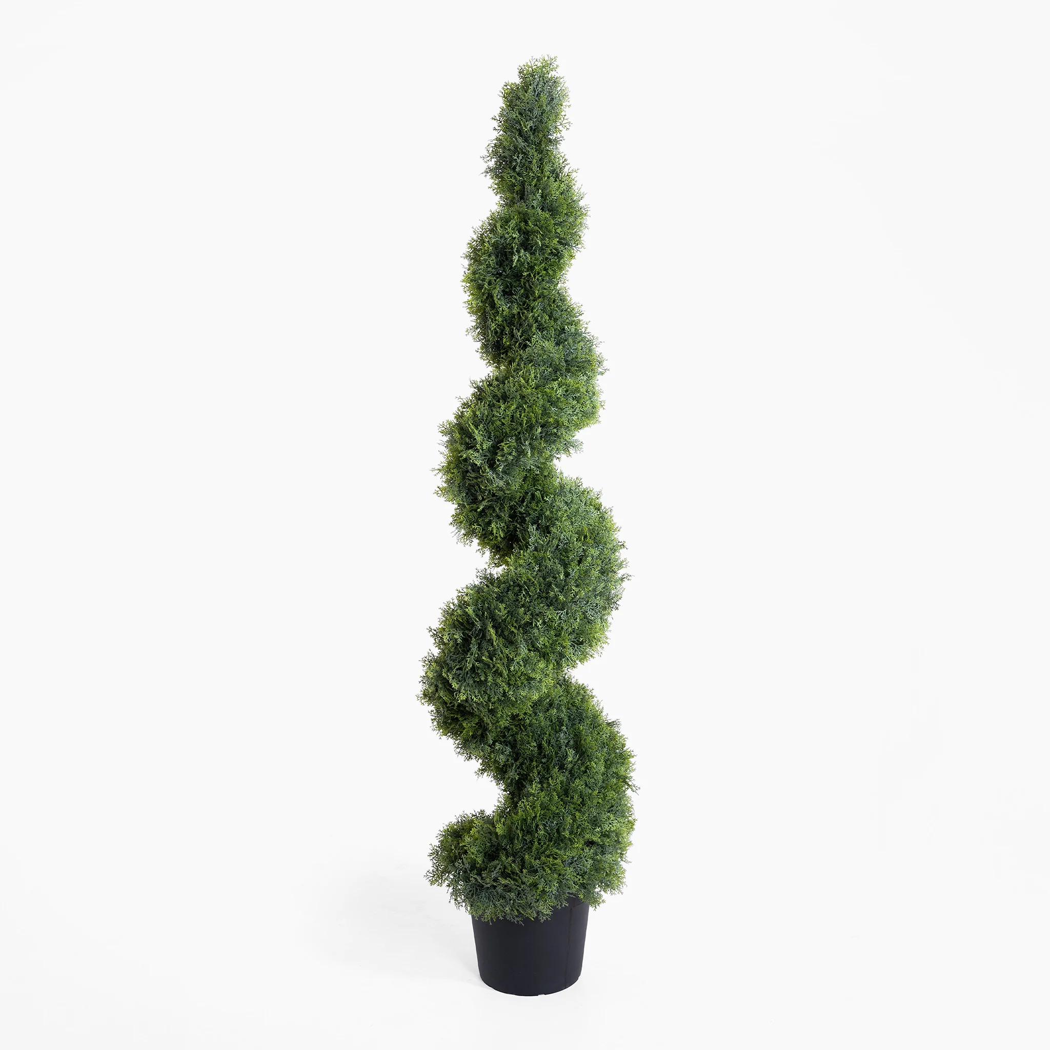 Cedar spiral - Image 8