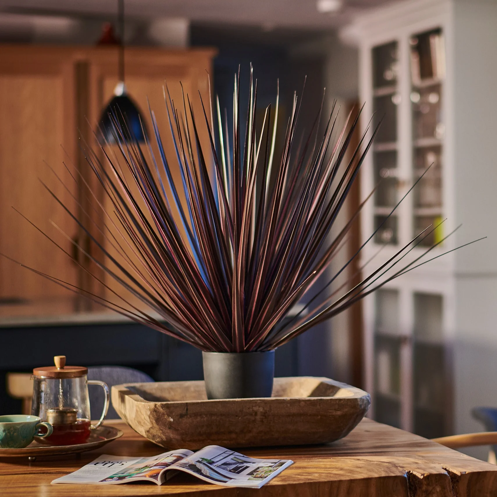 Cordyline grass - Image 3