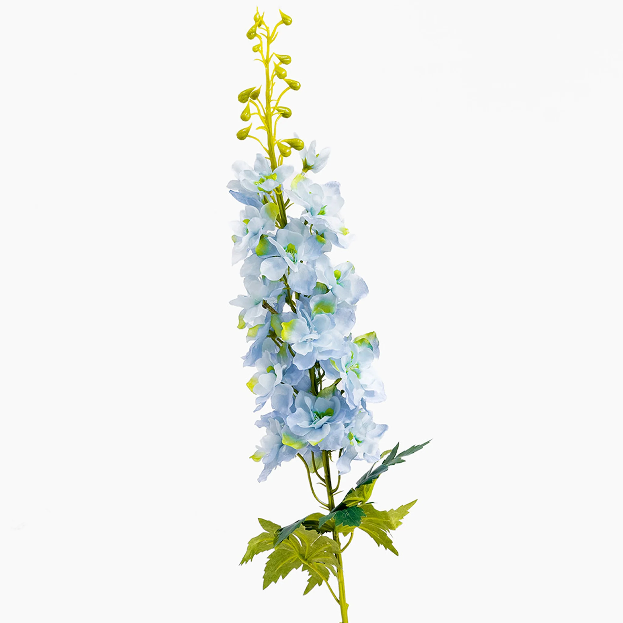 Delphinium stem - Image 3