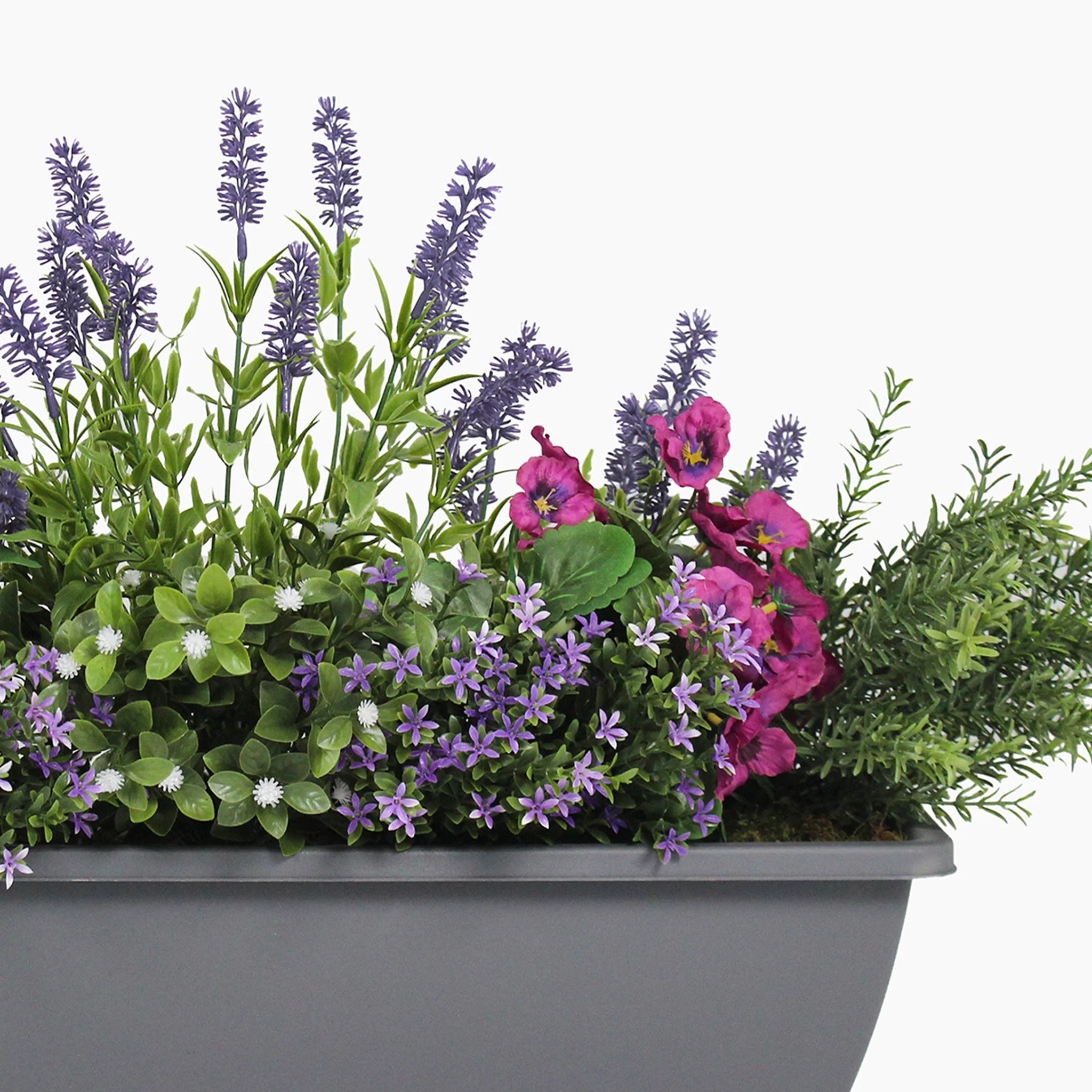 English garden window box - Image 3