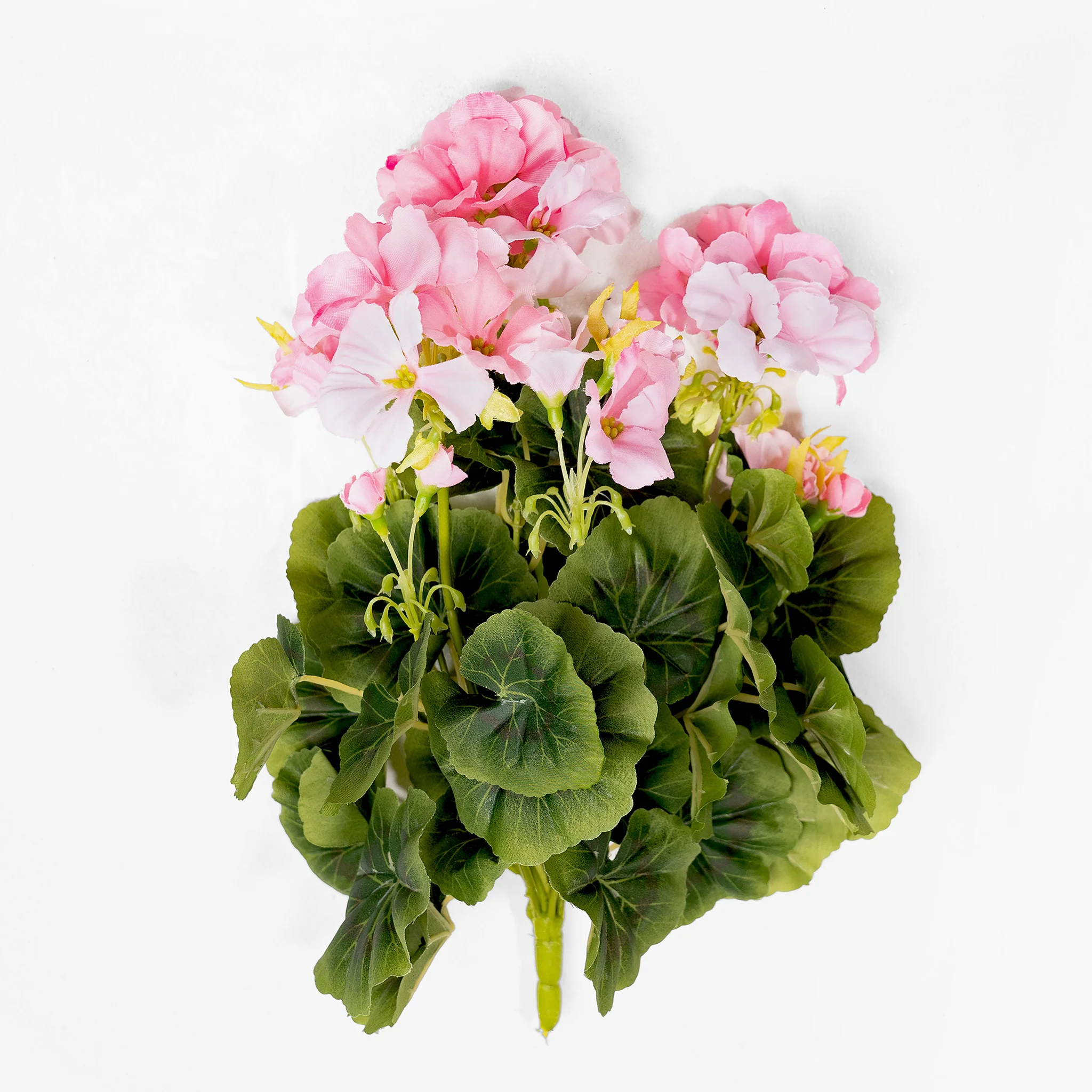 Geranium bush - Image 5