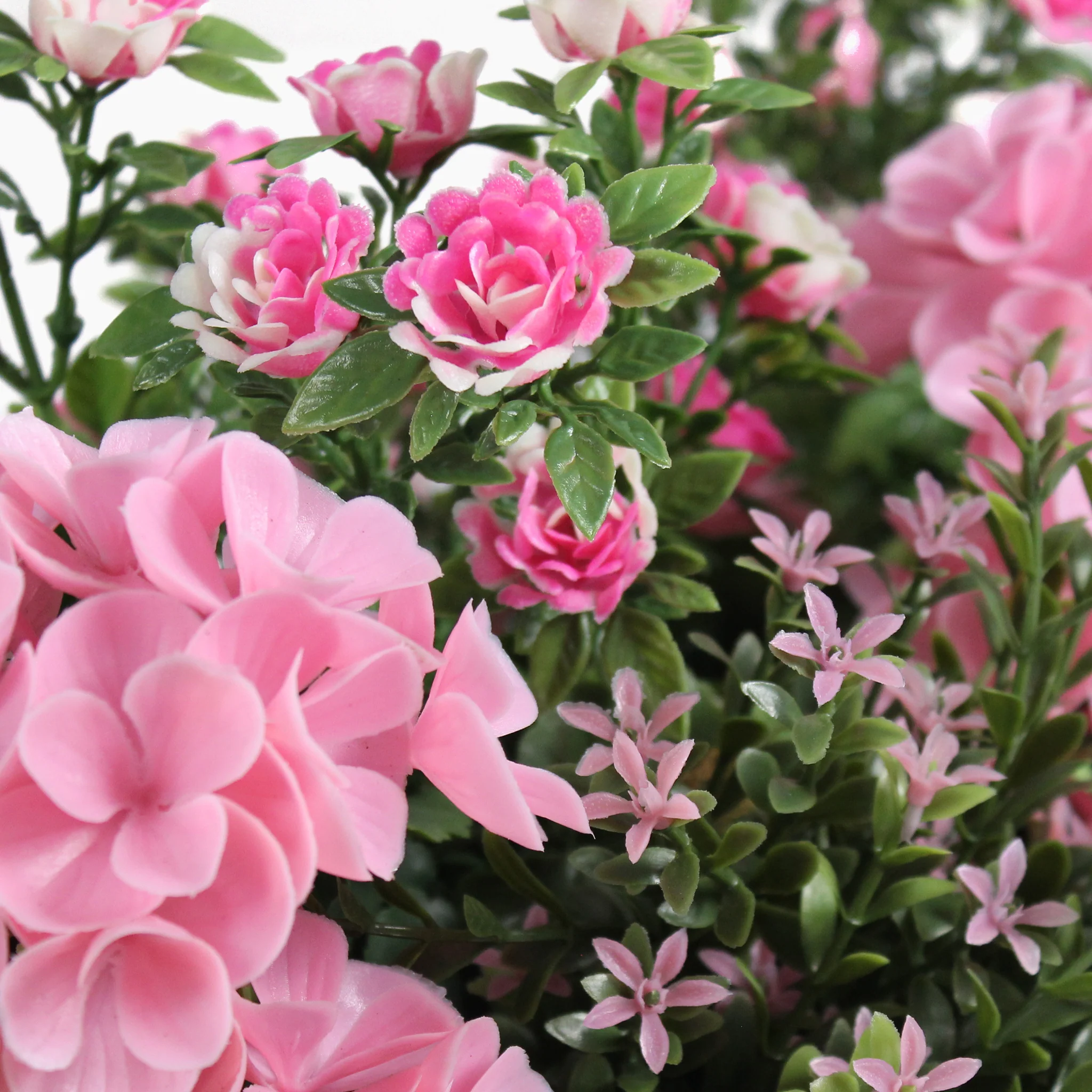 Geranium & starflower window box - Image 5