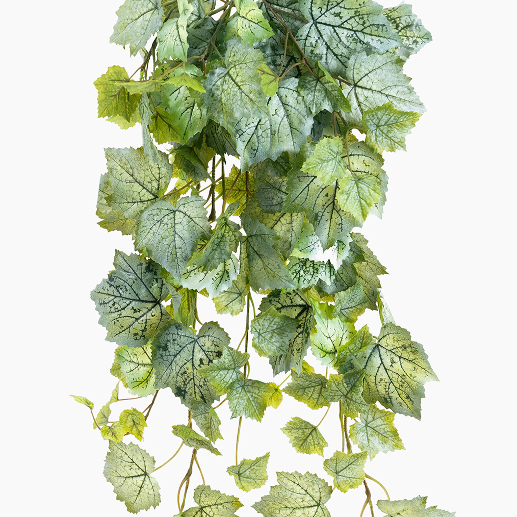 Grape leaf hanging bush - Image 3