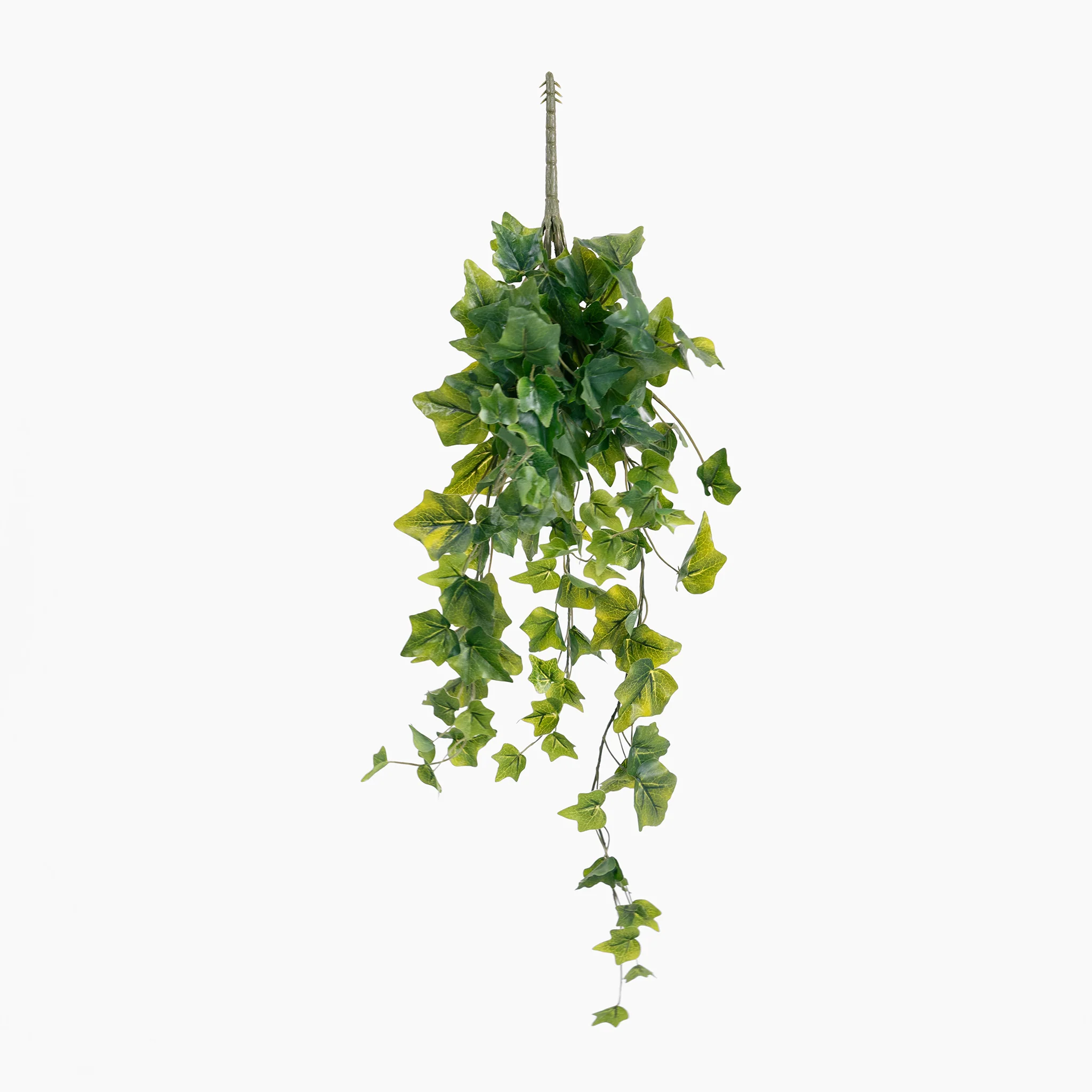 Ivy foliage bush - Image 5