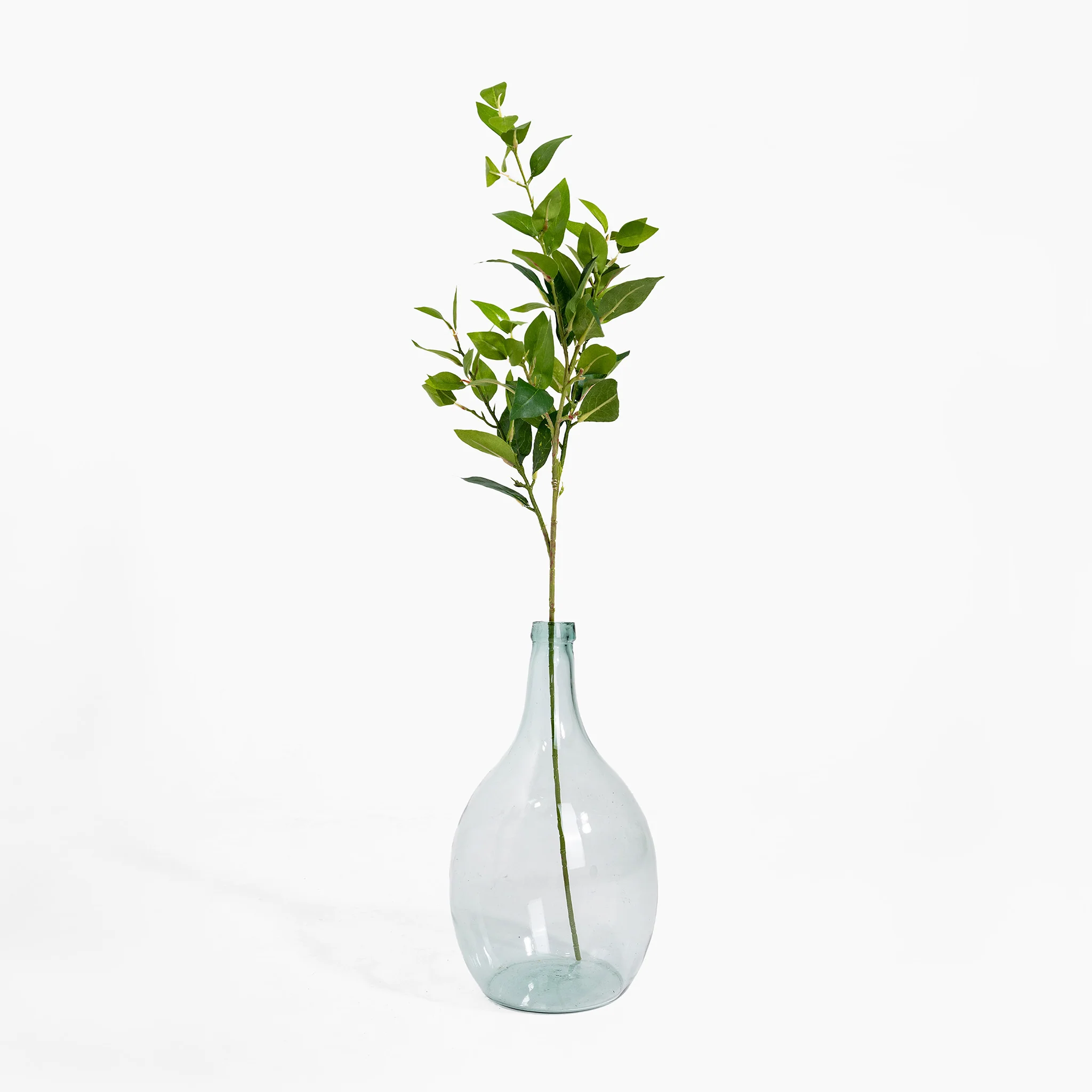Laurel foliage spray