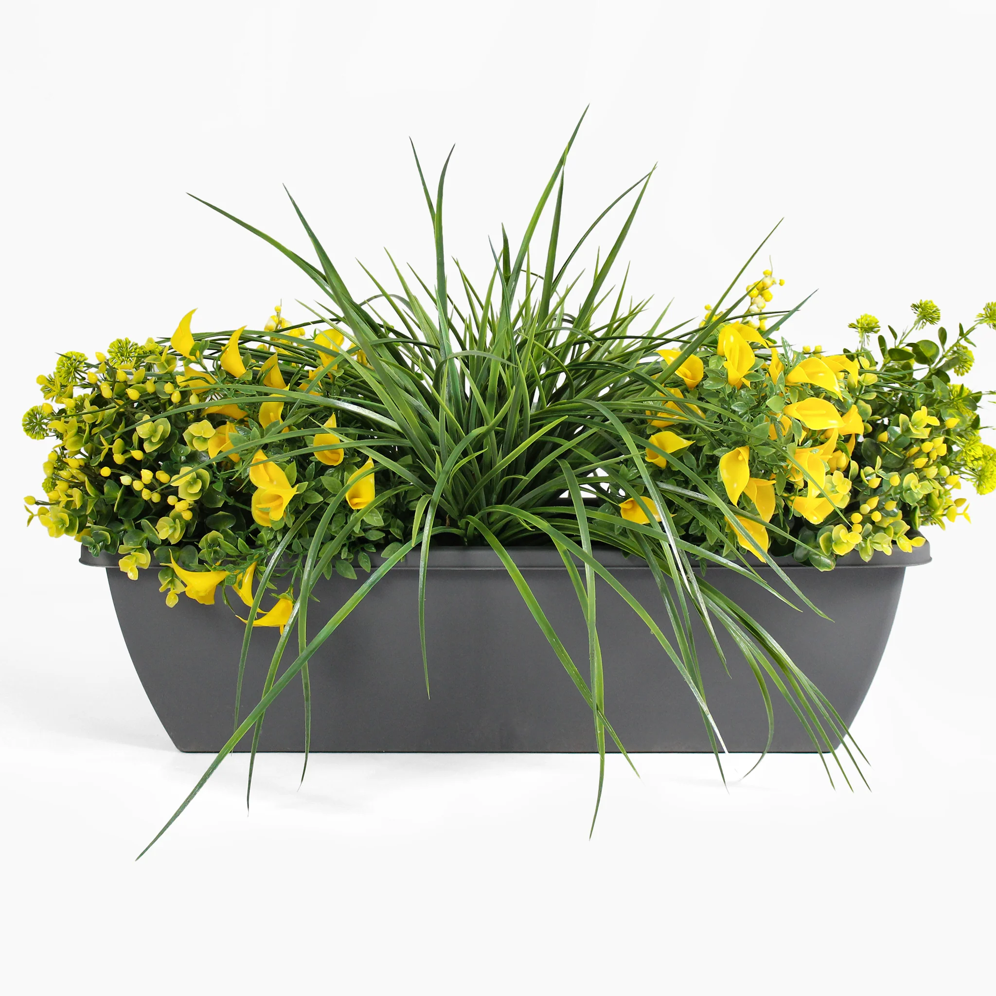 Morning sunshine window box - Image 3