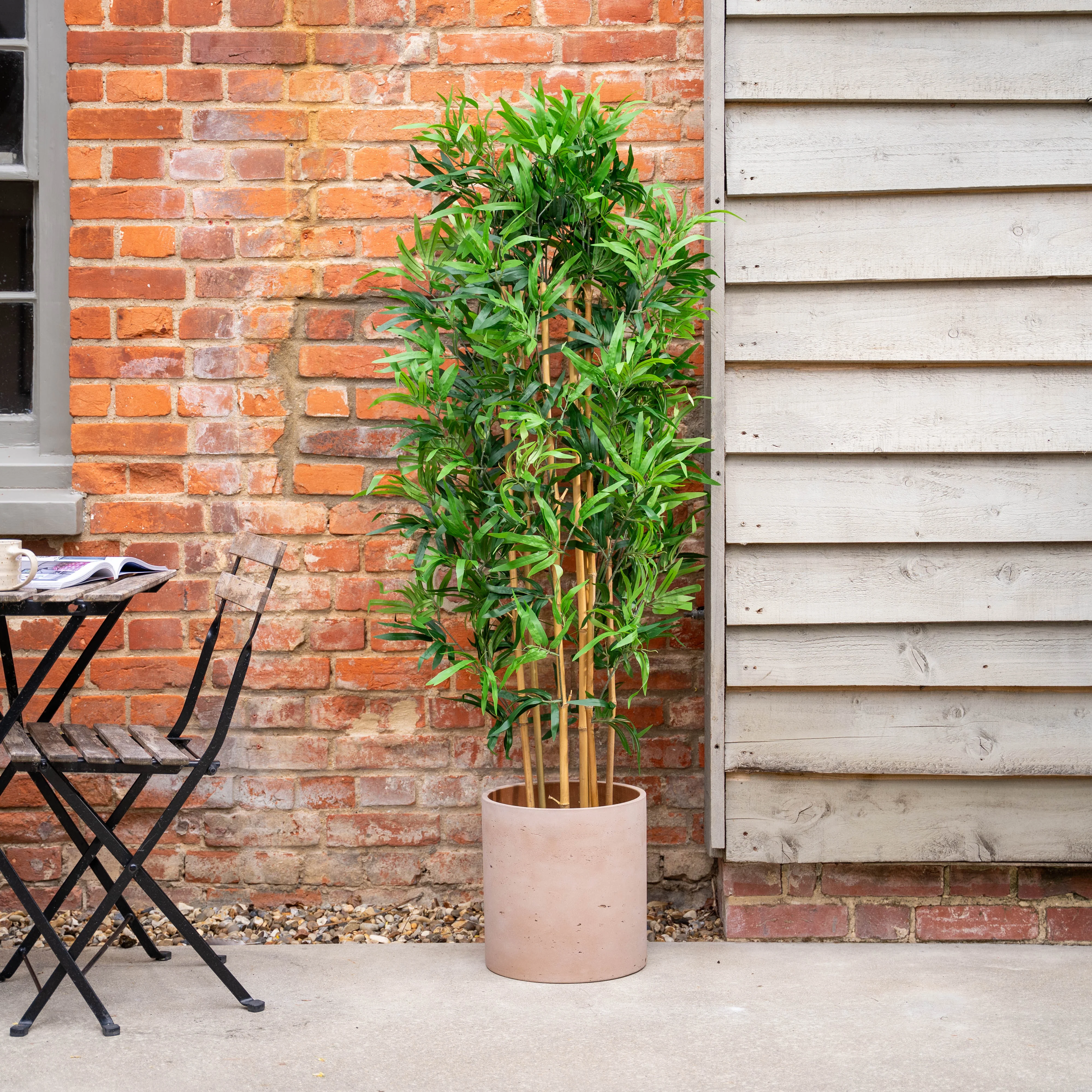 Oriental bamboo - Image 3