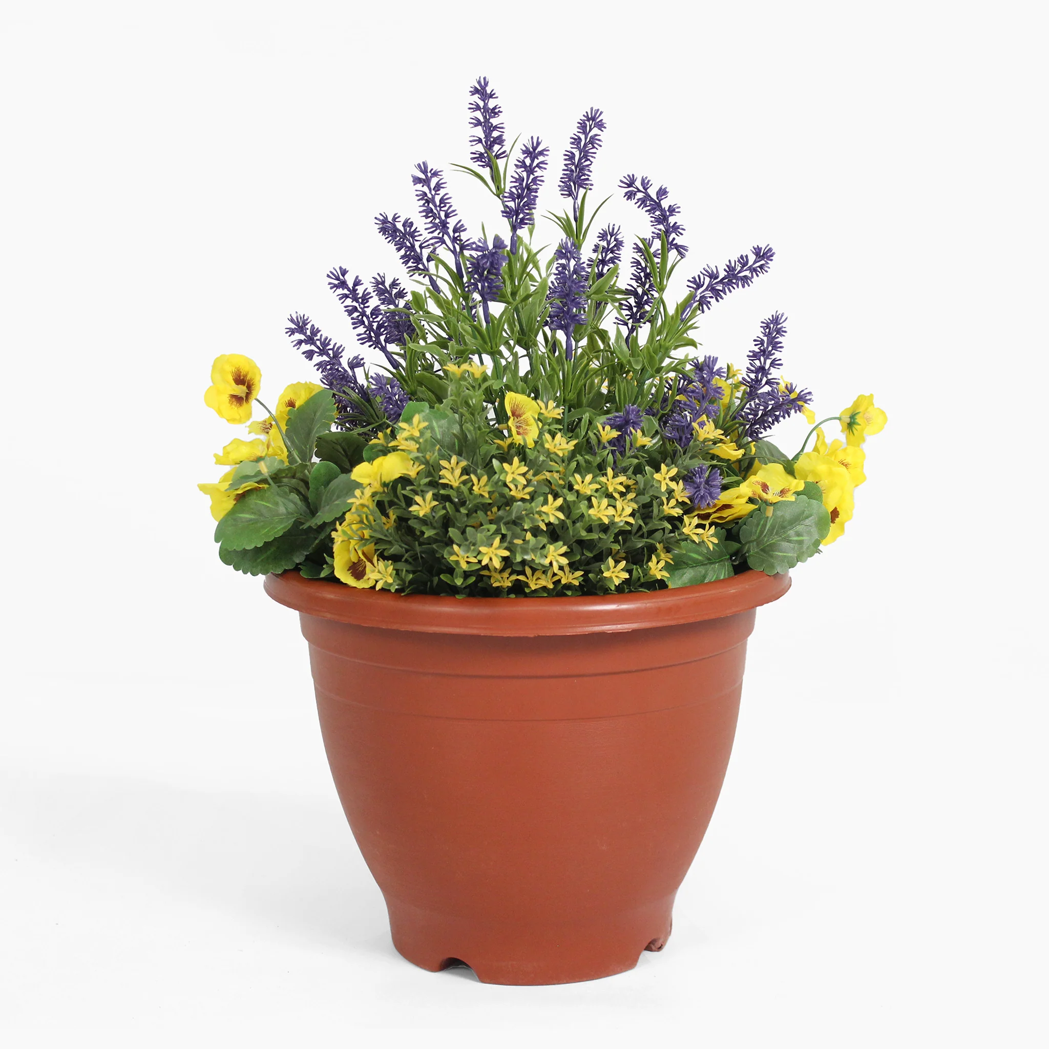 Pansy & lavender patio planter - Image 8