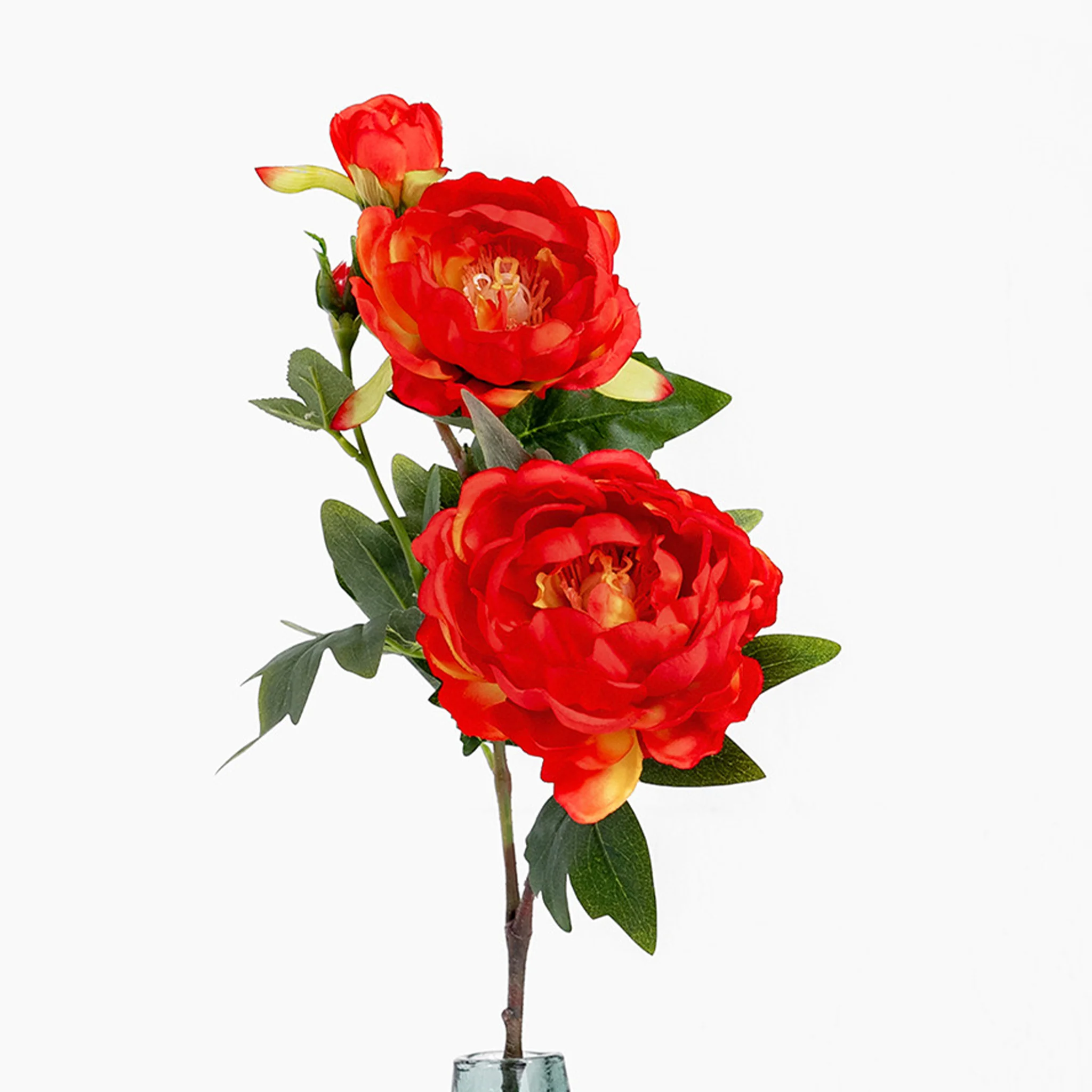 Peony stem - Image 2