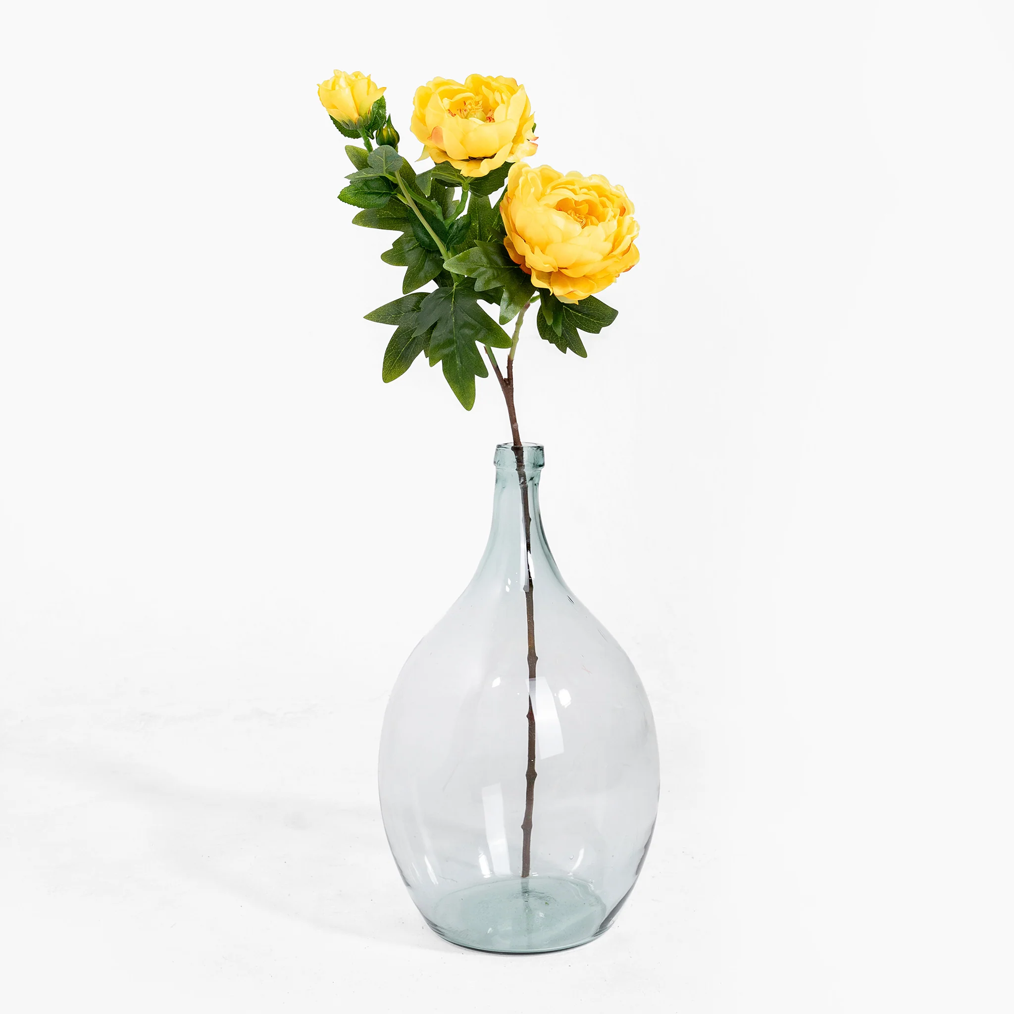 Peony stem - Image 4