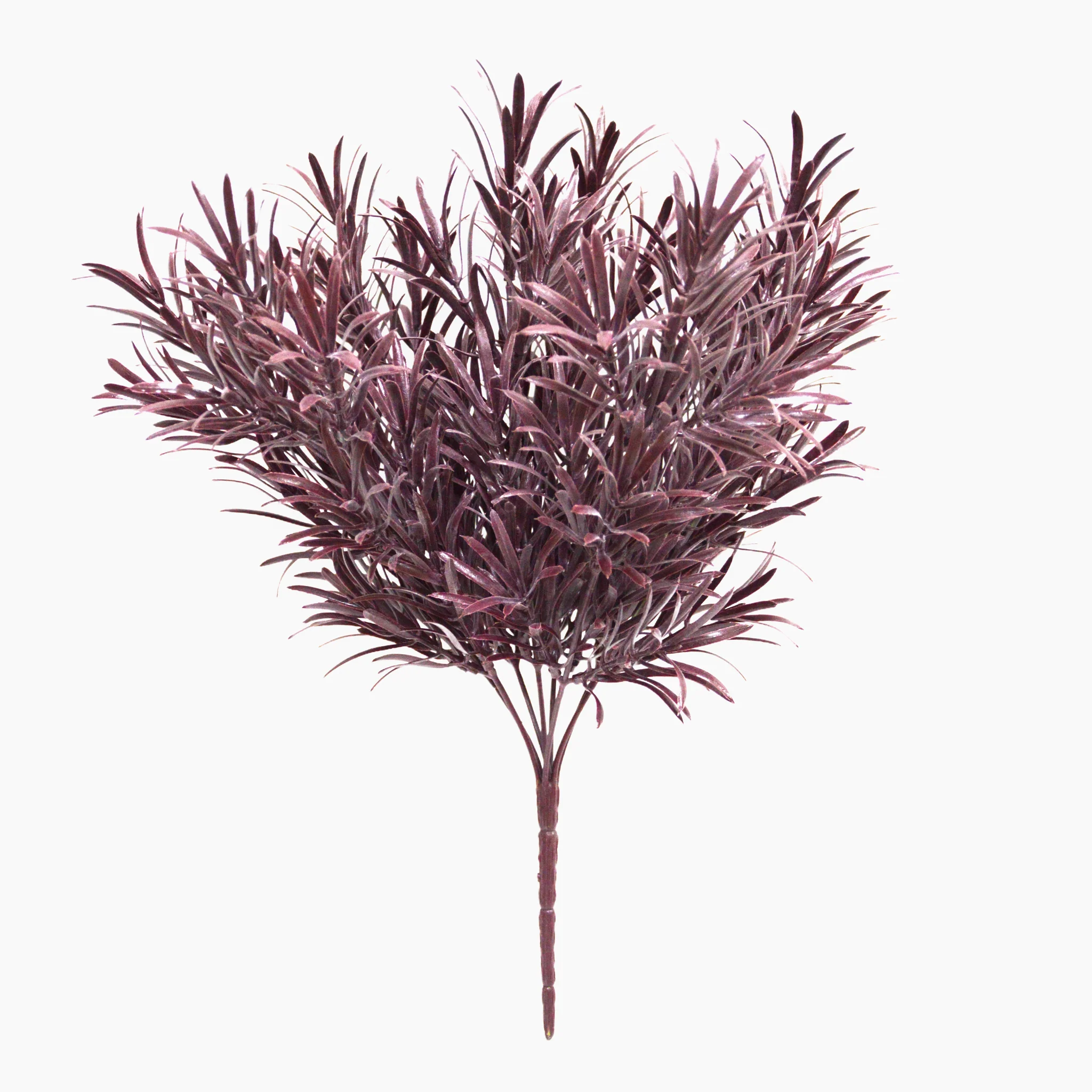 Podocarpus bush
