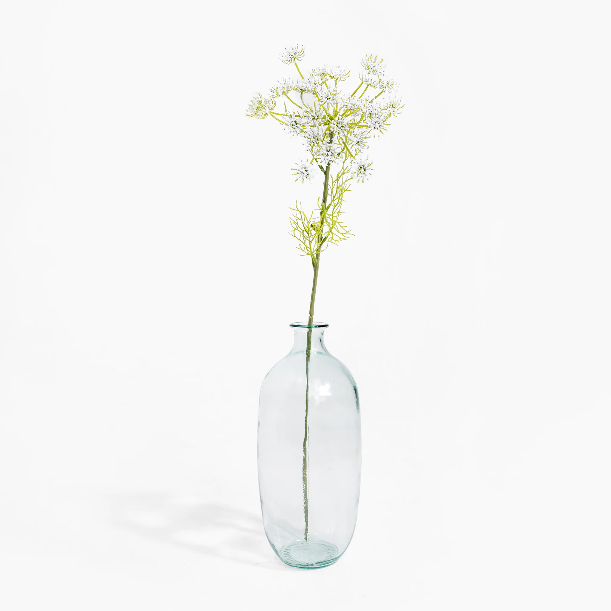Queen Anne's lace stem