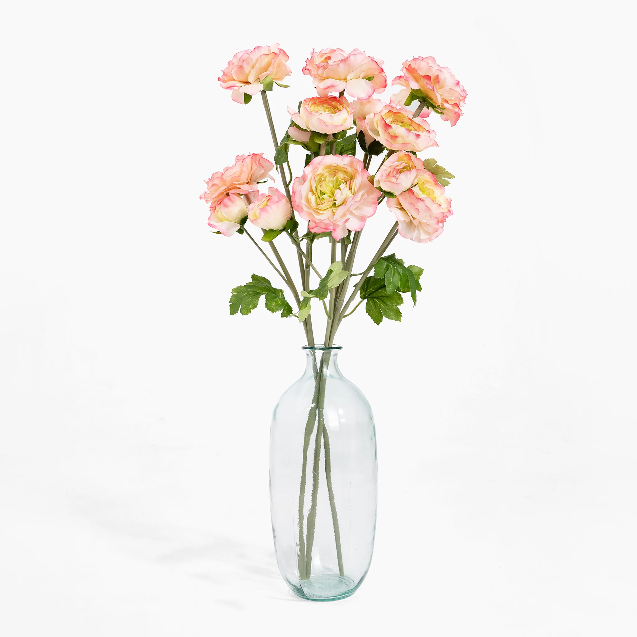 Ranunculus stem - Image 5