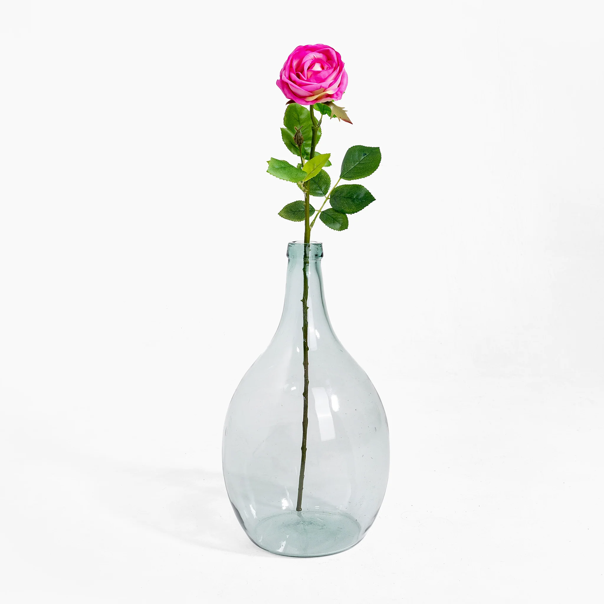Rose stem