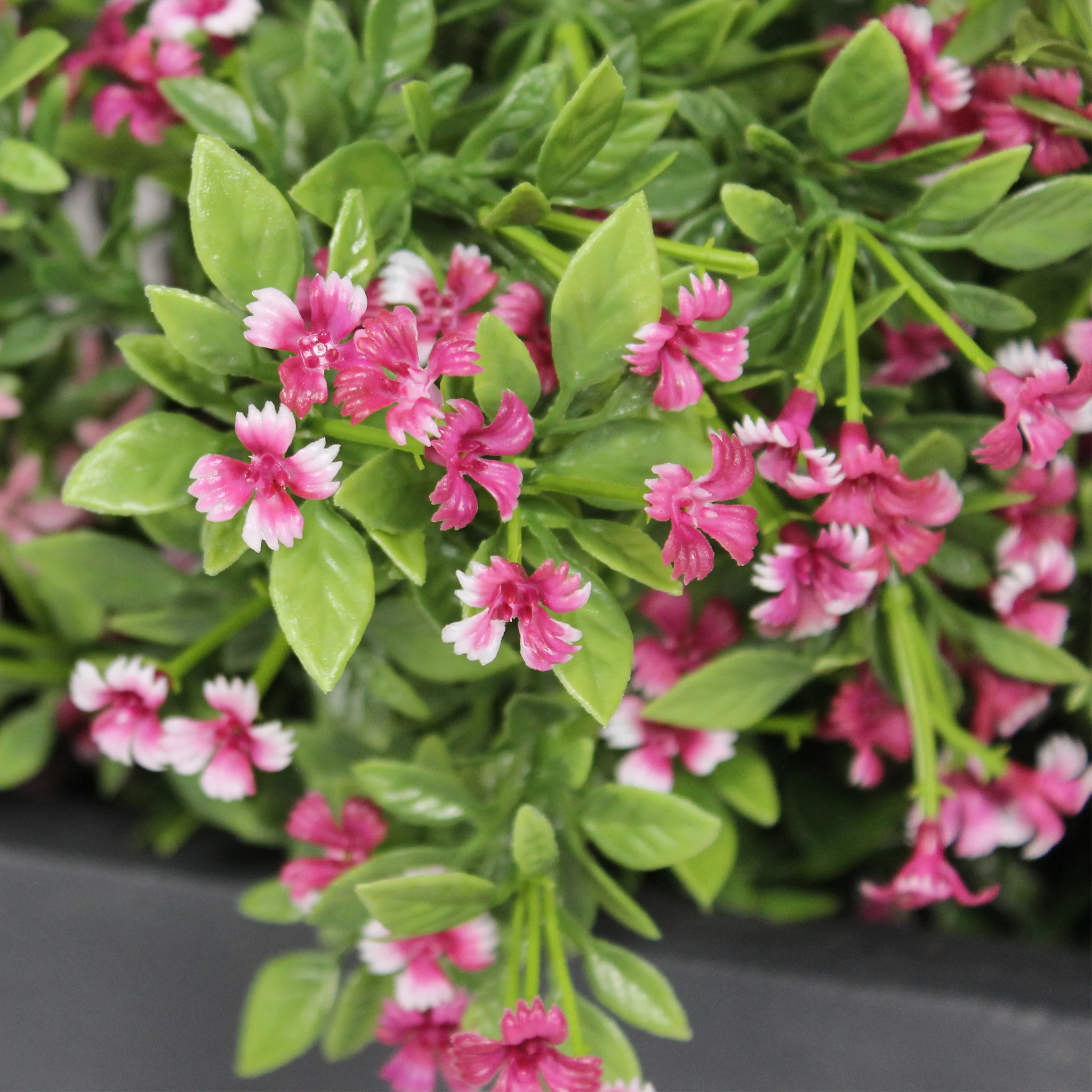 Urban garden window box - Image 6