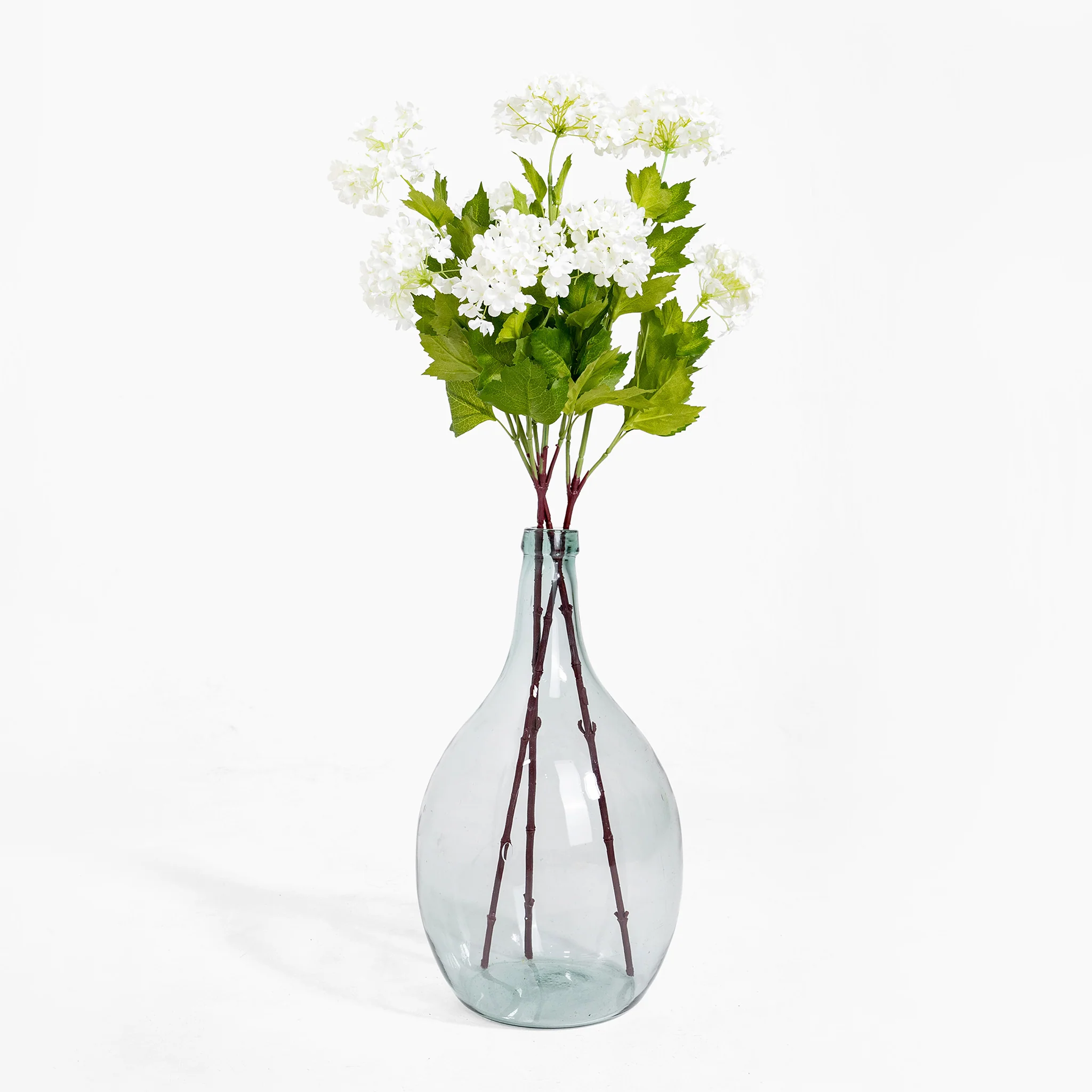 Viburnum stem - Image 3