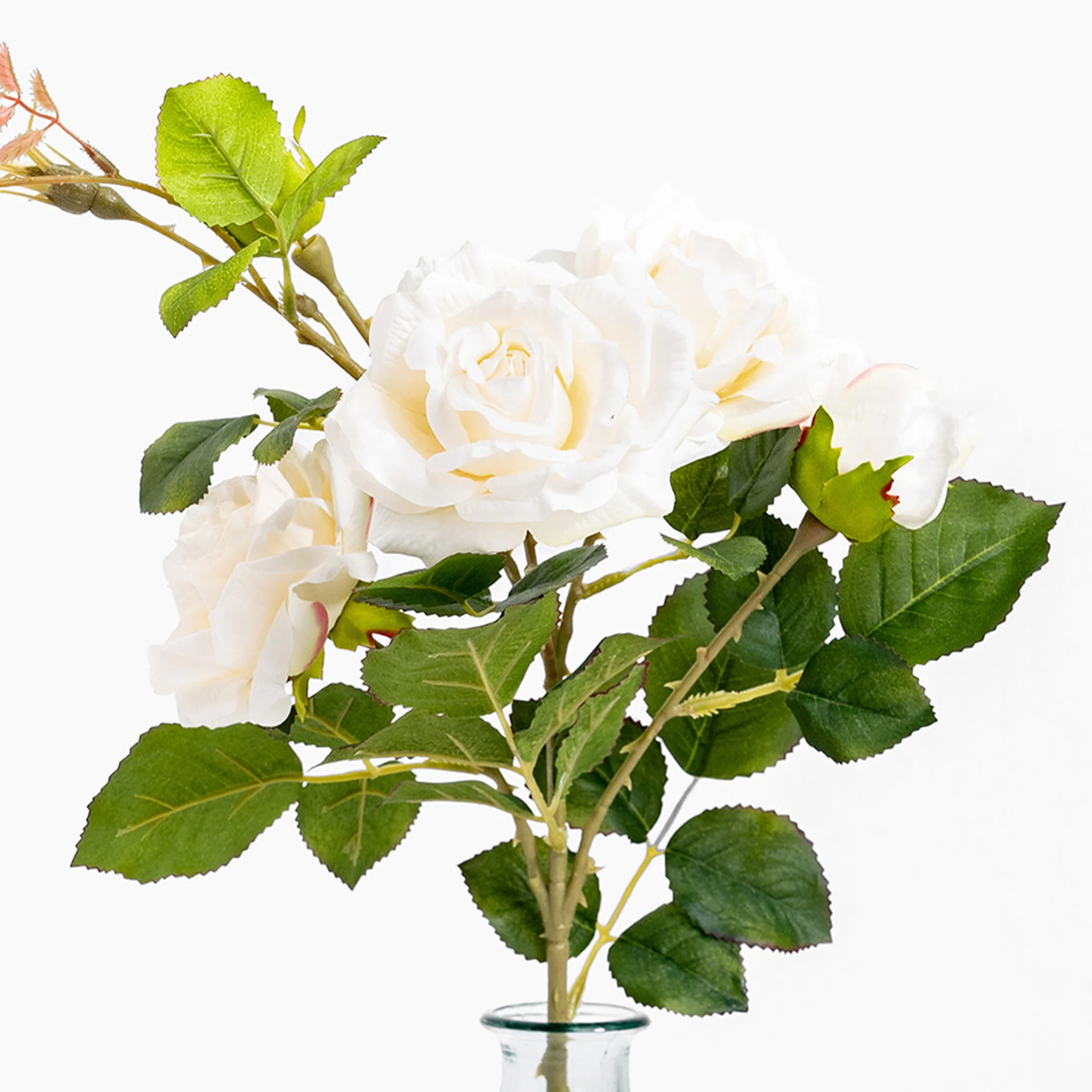 Wild rose stem - Image 3