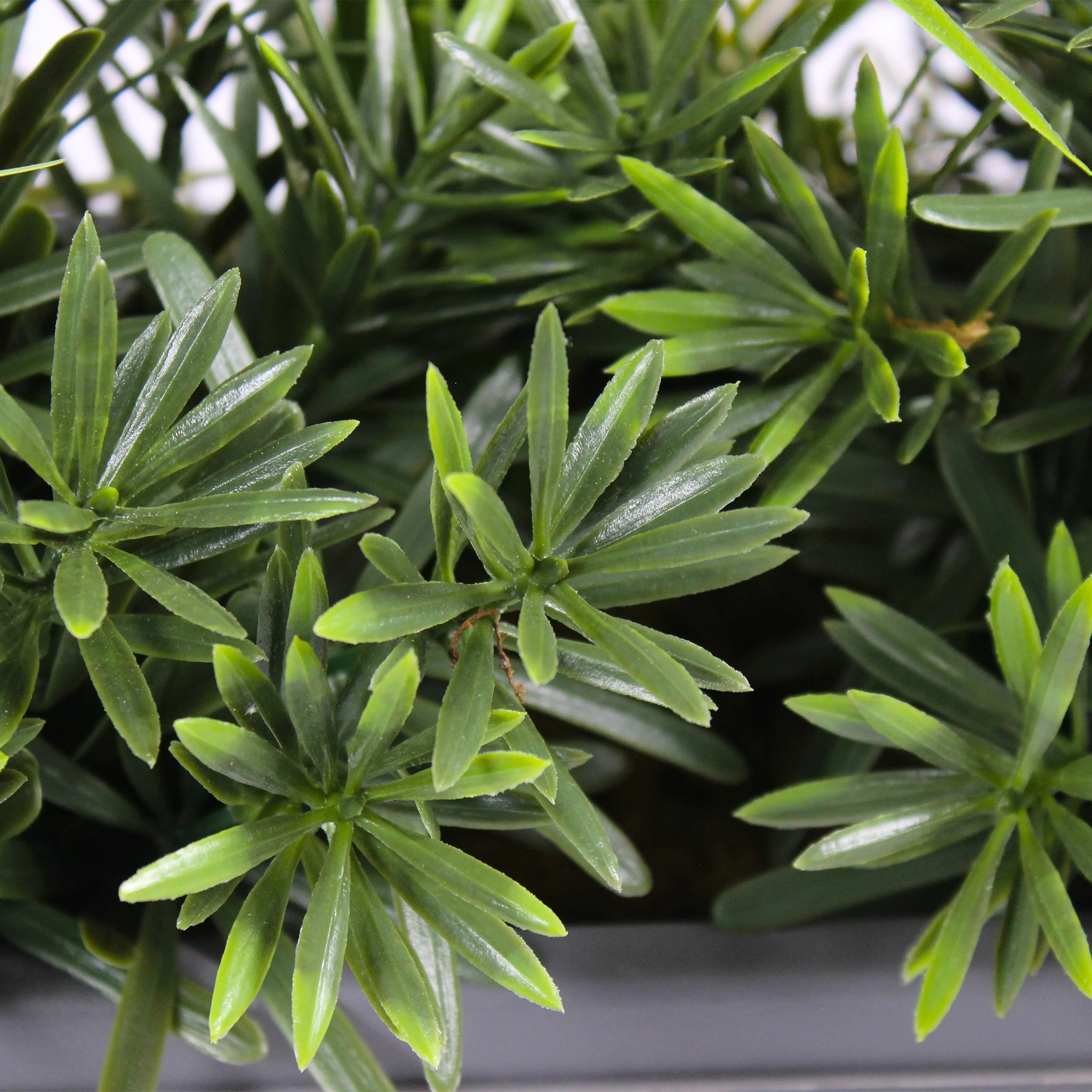 Woodland greens window box - Image 4