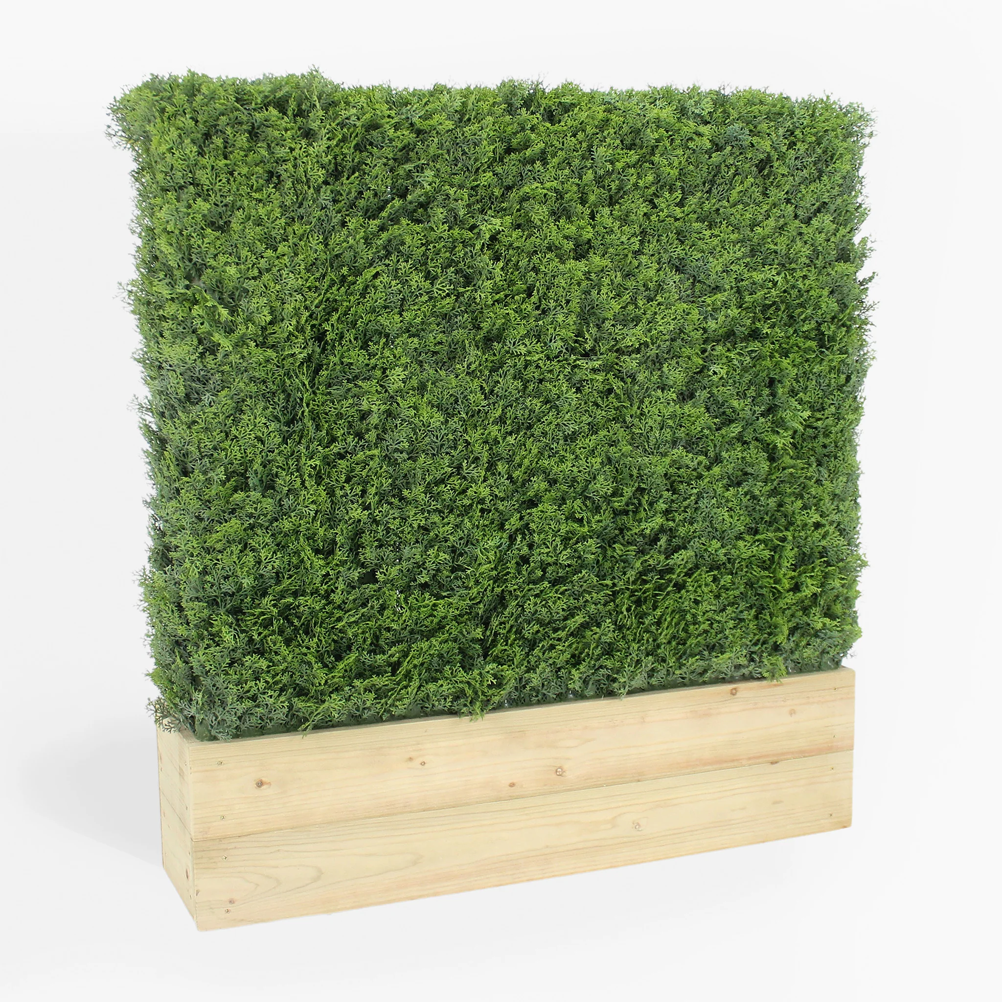 Cedar hedge - 1m long - Image 4