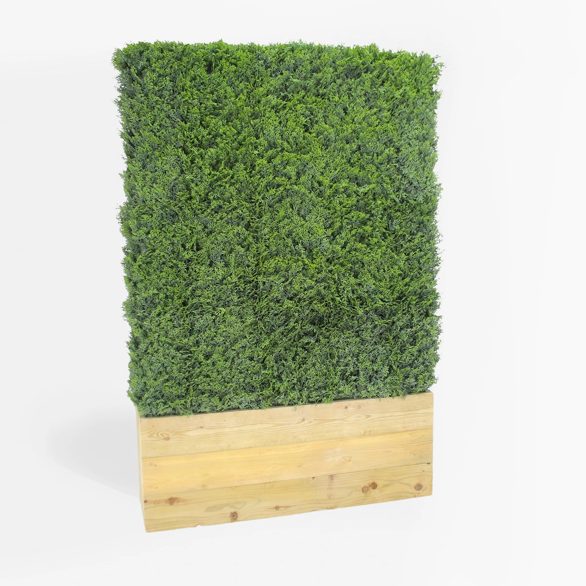 Cedar hedge - 1m long - Image 6