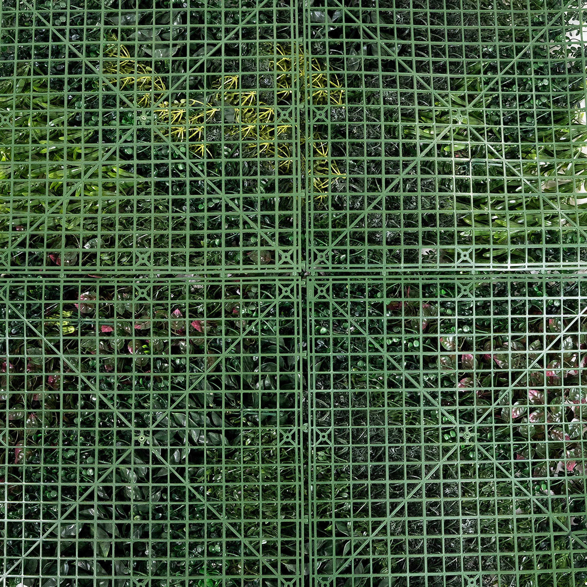 Danube green wall - Image 4
